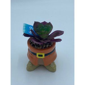 Disney Doc Ceramic mini planter with Faux Succulent
